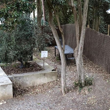 Au Vieux Lavoir Avec Parking Prive, Jardin , Climatisation, A 500 M De La Cite Carcasona Exterior foto