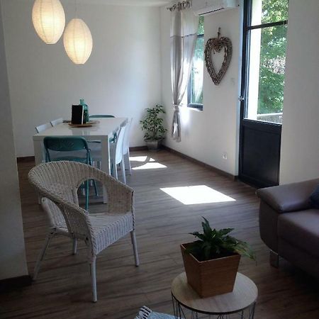 Au Vieux Lavoir Avec Parking Prive, Jardin , Climatisation, A 500 M De La Cite Carcasona Exterior foto