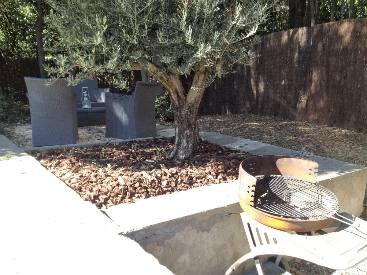 Au Vieux Lavoir Avec Parking Prive, Jardin , Climatisation, A 500 M De La Cite Carcasona Exterior foto